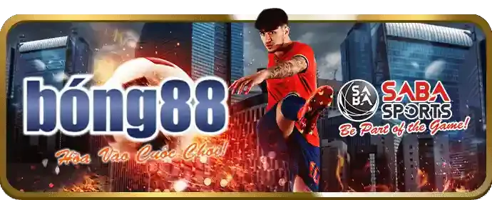 Hình ảnh tổng quan về các môn thể thao đa dạng tại ax88 login